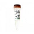 Zymo Research ZymoBIOMICS Spike-in Control I (High Microbial Load), 250 preps ZD6320-10